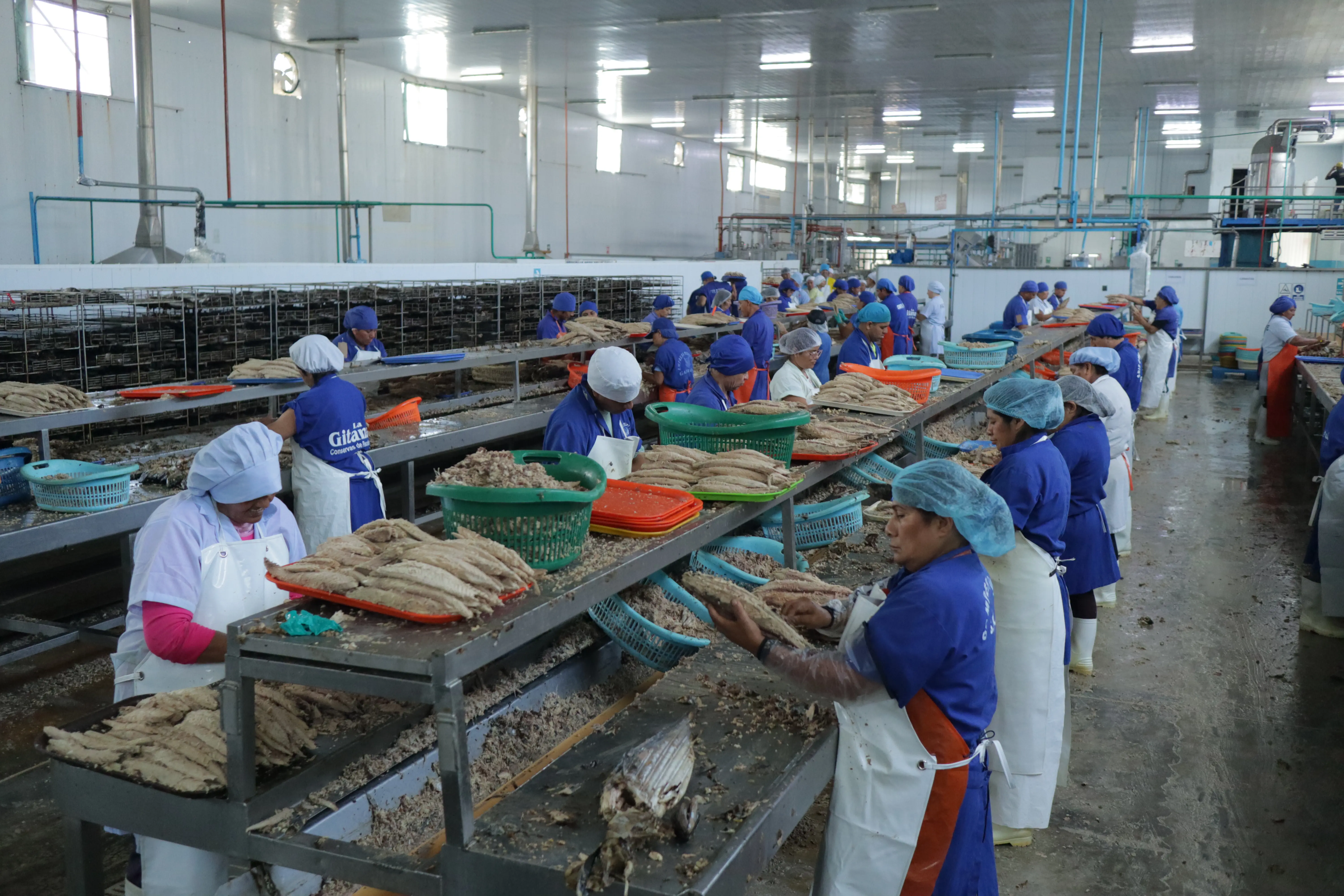 Retorta / esterilización